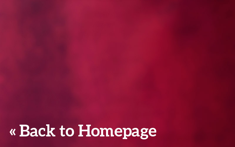 back-recipe-sb.jpg