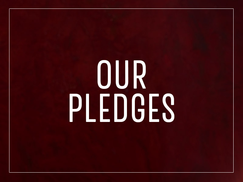 csr-pledges-sb.jpg
